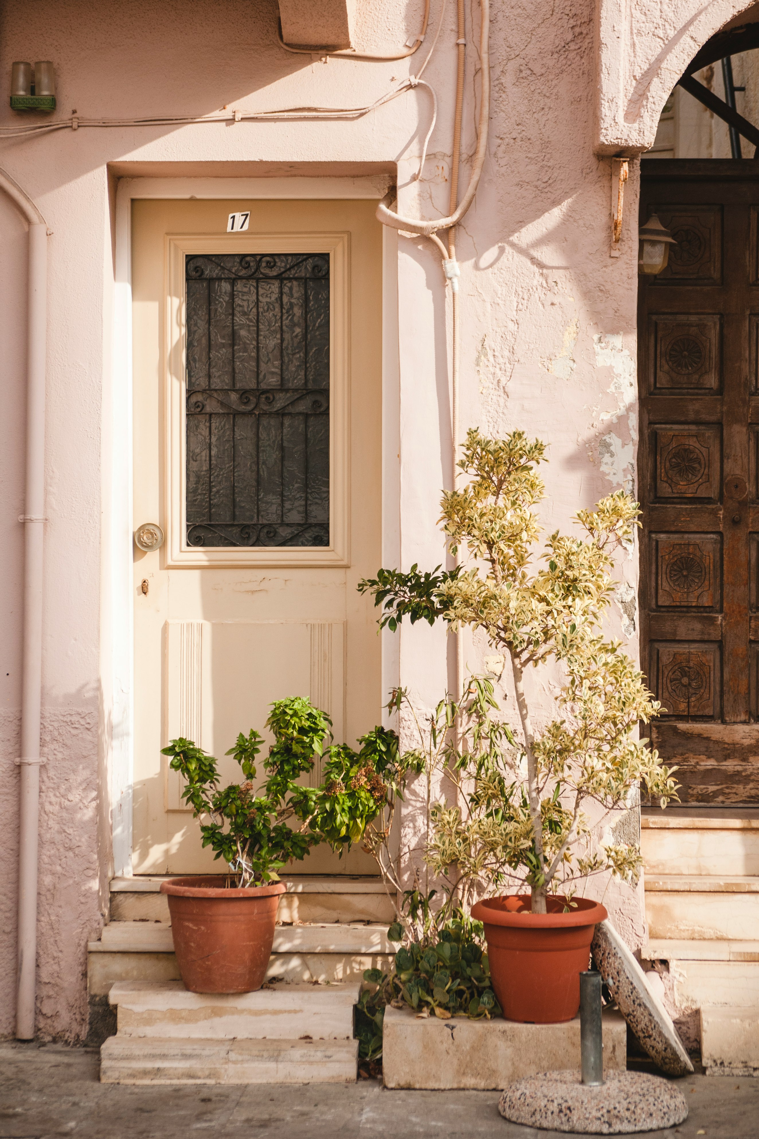 plants in front of door